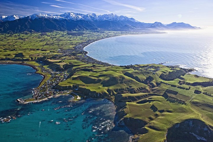 Kaikoura Whale Watch Day Tour from Christchurch
