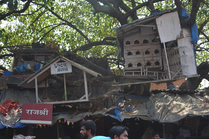 Private Full-Day Mumbai Sightseeing Tour with Dharavi Slums