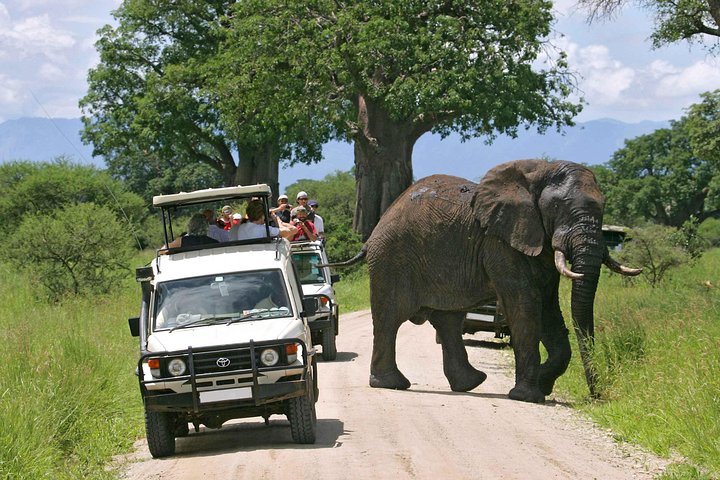 15 Days Spectacular Kenya & Tanzania Safari with Zanzibar Beach