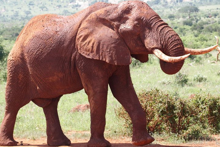 9-Days Discover Kenya Private Safari
