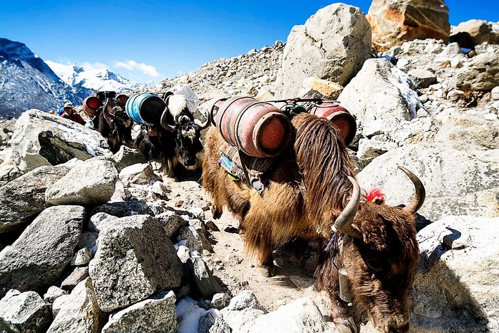 Experience of Everest Base Camp Trek with 5 star accommodation in Kathmandu