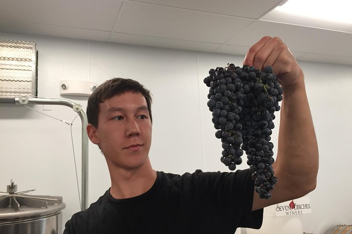 Meet the Winemakers - Seven Birches Winery Tour