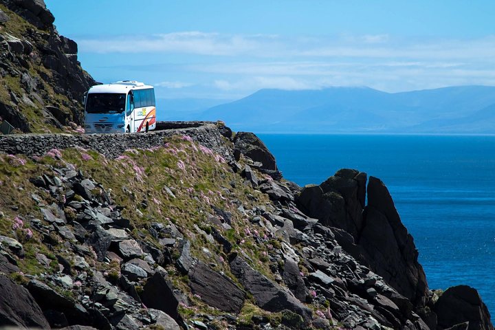 Full-Day Tour of the Dingle Peninsula, Slea Head, and Inch Beach