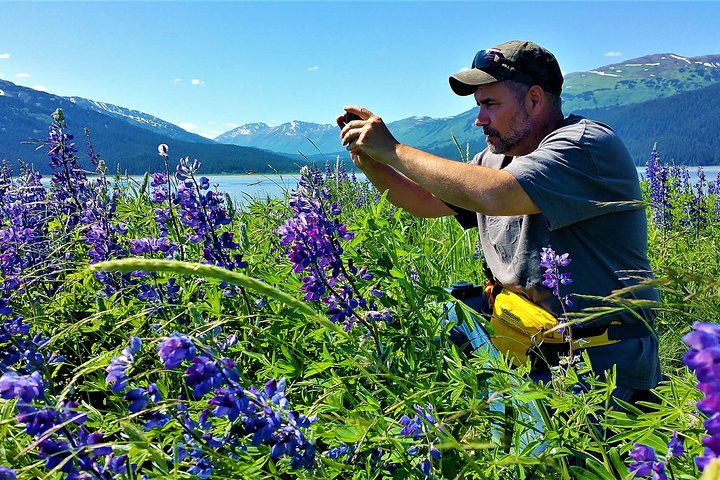 PRISTINE - Wilderness, Wildlife, Glacier Experience in Anchorage