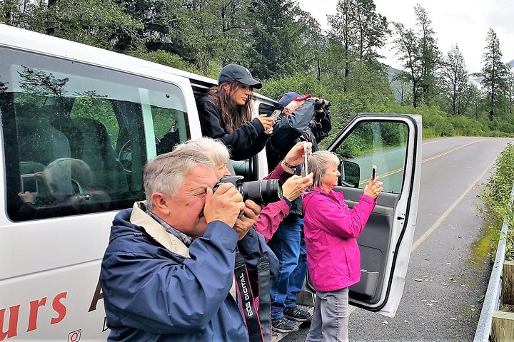 PRISTINE - Wilderness, Wildlife, Glacier Experience in Anchorage