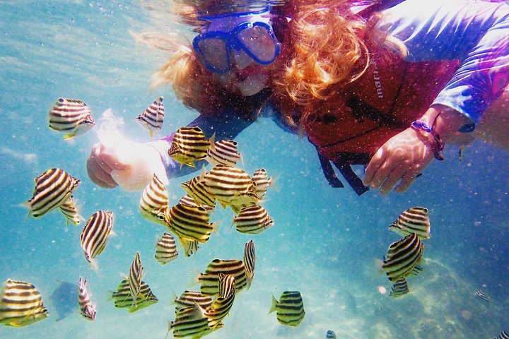 Gold Coast Kayaking & Snorkelling Tour (2.5 Hours)
