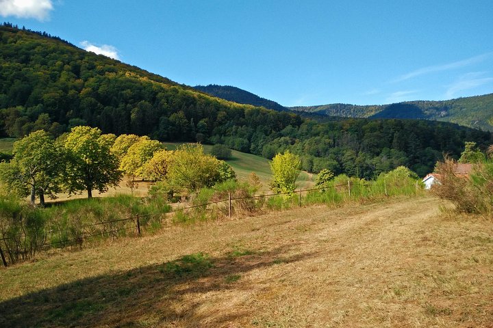 Private excursion: panorama and breath of fresh air at Mont-Sainte-Odile !