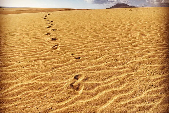 Fuerteventura North Exclusive Tour