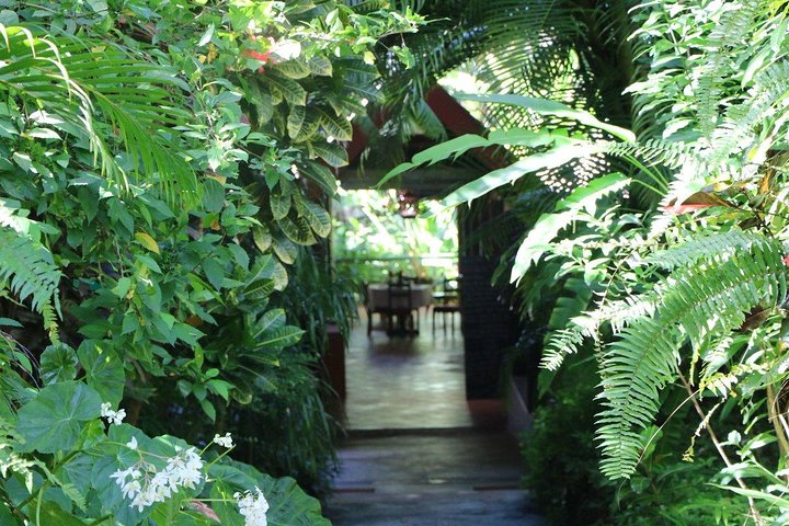 Garden Delight Full-Day Tour in Barbados