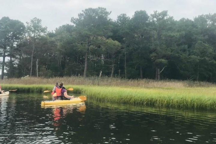 Guided Kayak Excursion Rehoboth Back Bay