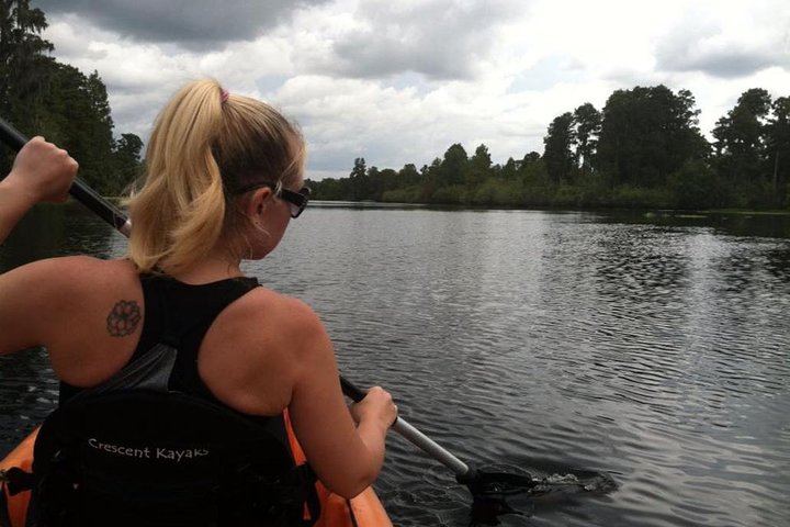 Guided Kayak Excursion Rehoboth Back Bay