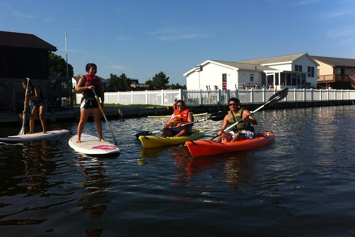 Guided Kayak Excursion Rehoboth Back Bay