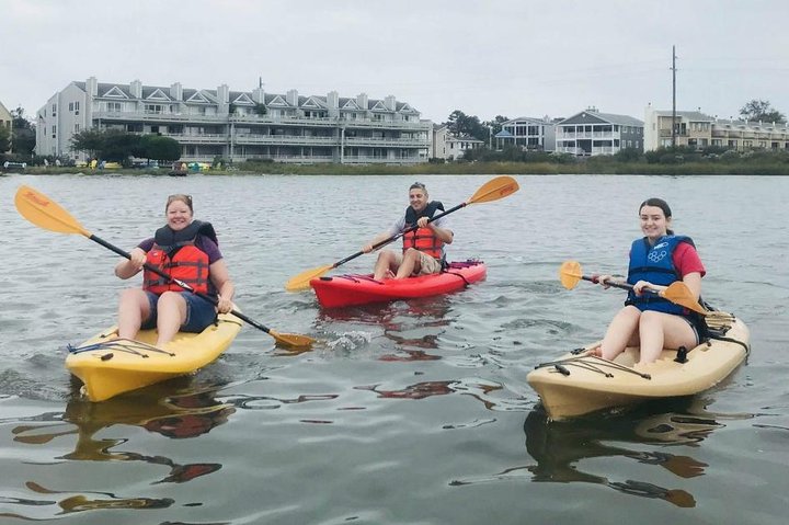 Guided Kayak Excursion Rehoboth Back Bay