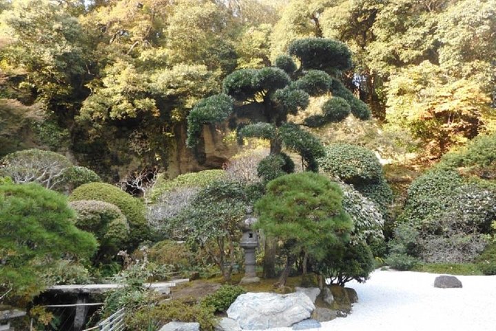 Kamakura Private Tour by Public Transportation