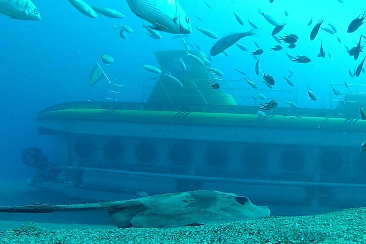 Submarine Safaris Lanzarote