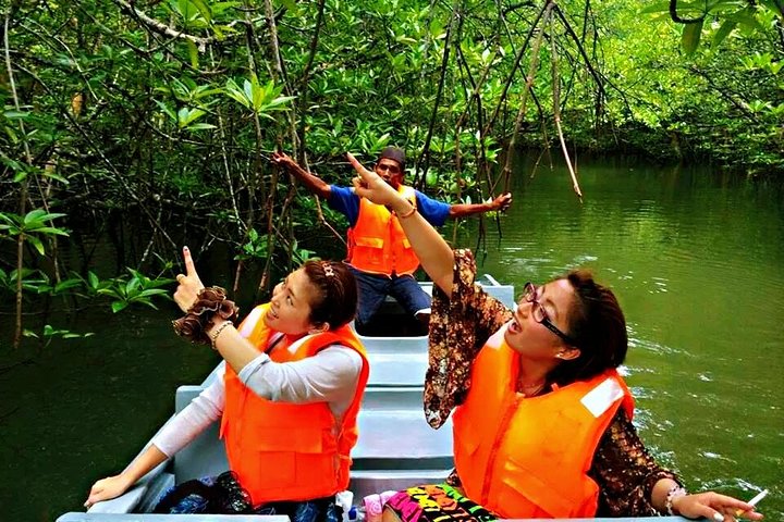 Bintan Mangrove Discovery Tour