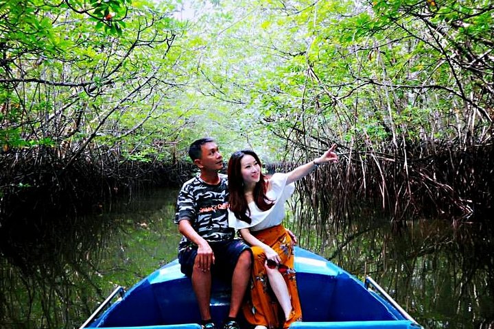 Bintan Mangrove Discovery Tour