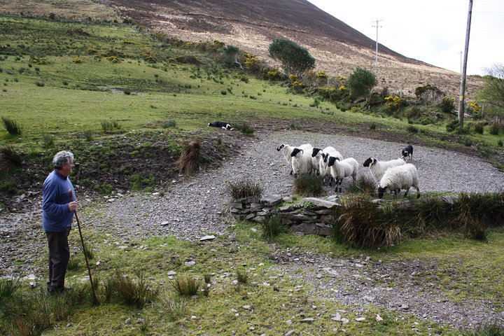 Best Ring of Kerry Tour ex Killarney inc Killarney National Park