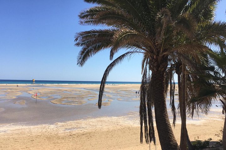 Fuerteventura South Exclusive Tour