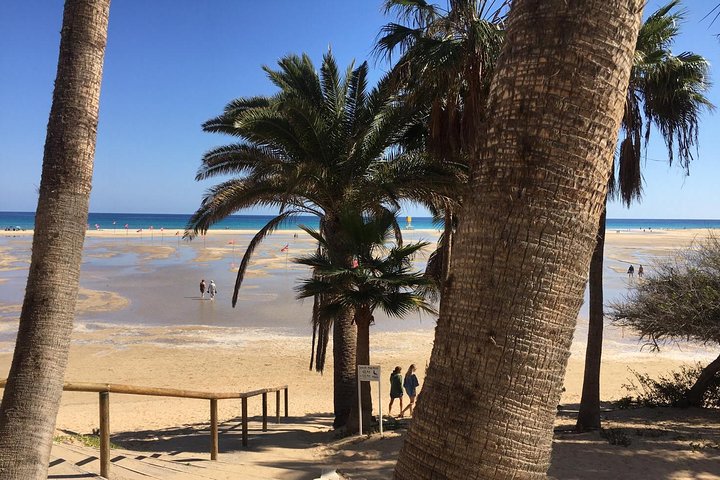 Fuerteventura South Exclusive Tour