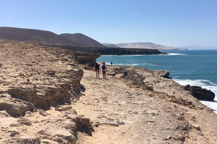 Fuerteventura South Exclusive Tour