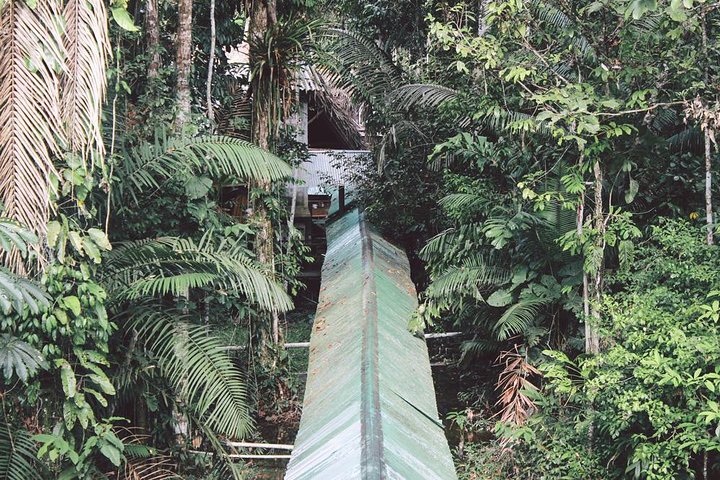 4-Day Ecuador Amazon Jungle Tour - Lodge in Cuyabeno Reserve