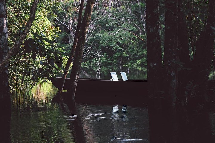 4-Day Ecuador Amazon Jungle Tour - Lodge in Cuyabeno Reserve