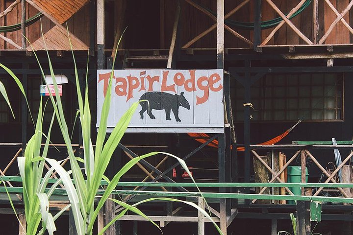 4-Day Ecuador Amazon Jungle Tour - Lodge in Cuyabeno Reserve