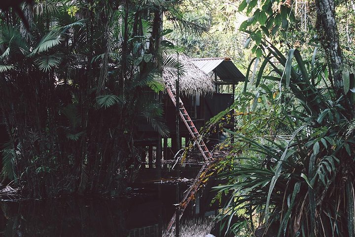 4-Day Ecuador Amazon Jungle Tour - Lodge in Cuyabeno Reserve