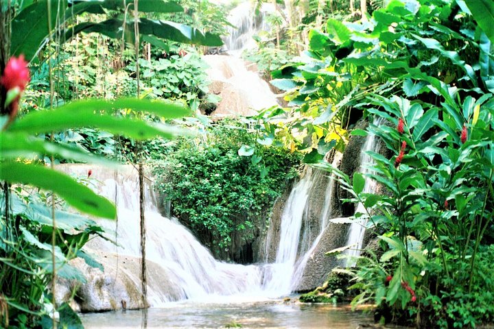 Blue Hole, Secret Falls, and Dunn's River Falls Combo Day-Trip