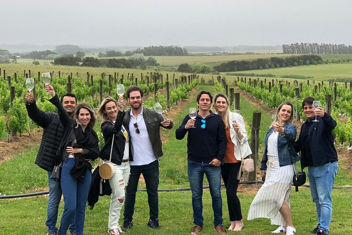 Wine Lovers - Punta Wine Experience