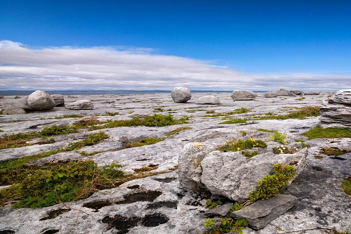 Dublin to Cliffs of Moher, including Wild Atlantic Way and Galway