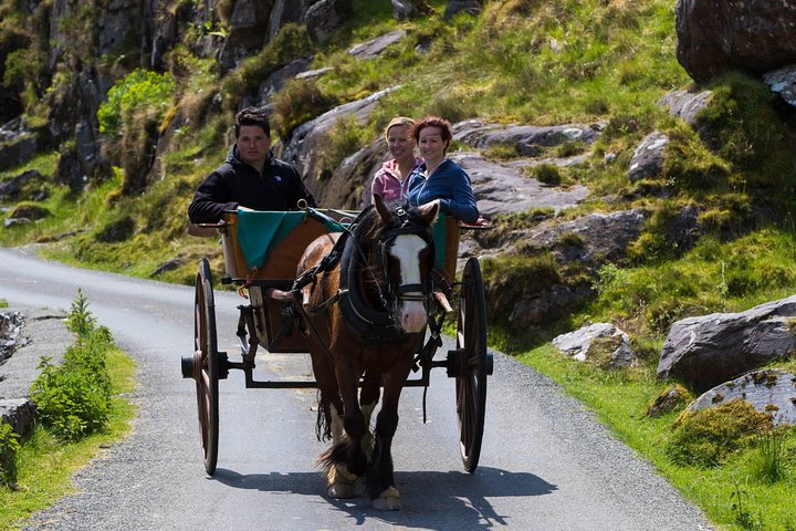 The Gap of Dunloe Full-Day Tour from Killarney