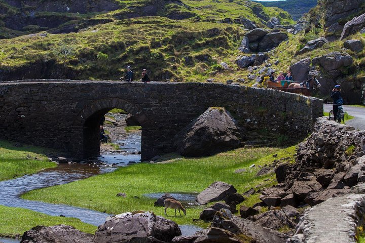 The Gap of Dunloe Full-Day Tour from Killarney