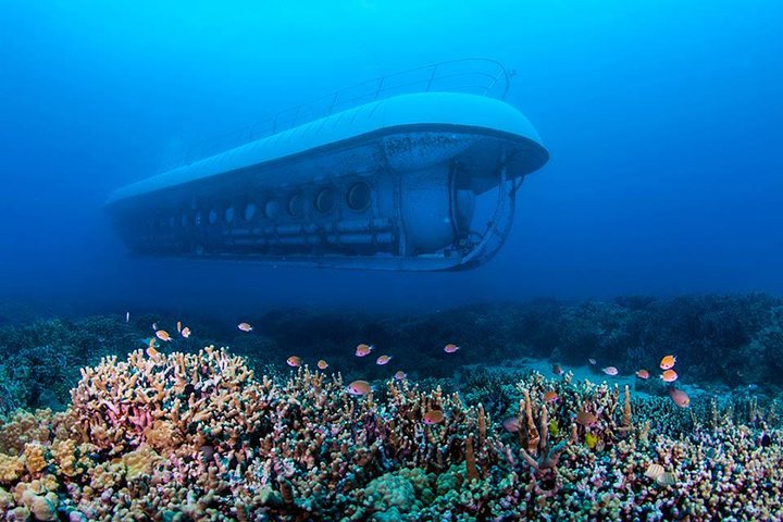 Big Island: Atlantis Submarine from Kona Beach