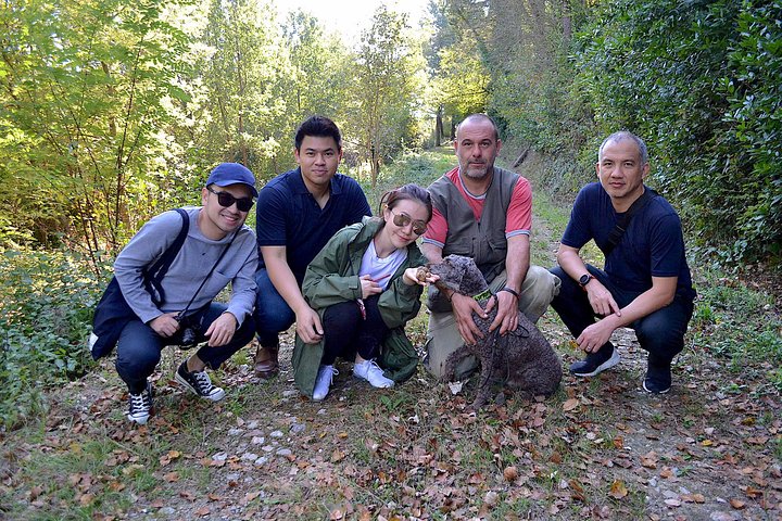 Truffle Hunting Experience with Lunch in San Miniato