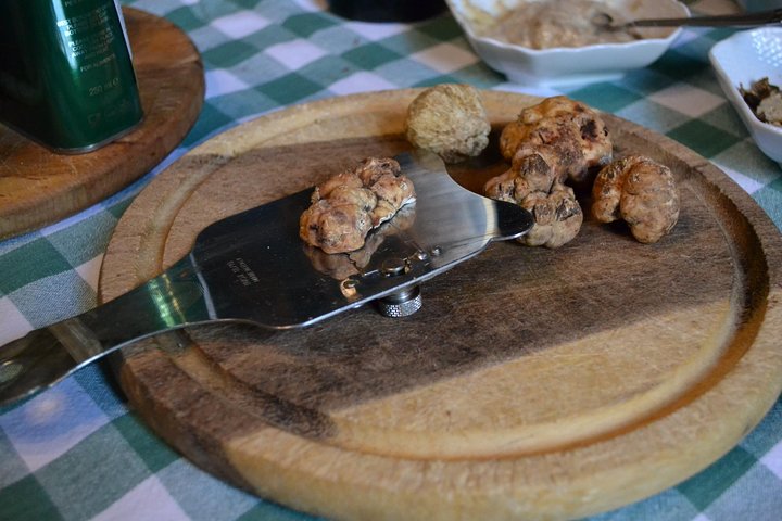 Truffle Hunting Experience with Lunch in San Miniato
