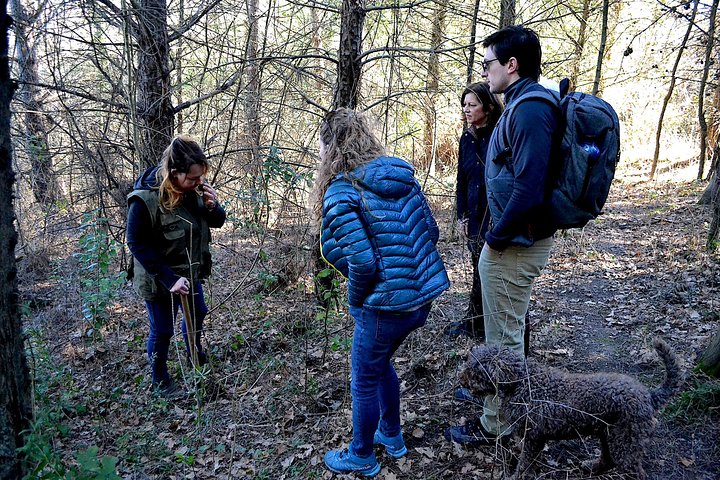 Truffle Hunting Experience with Lunch in San Miniato