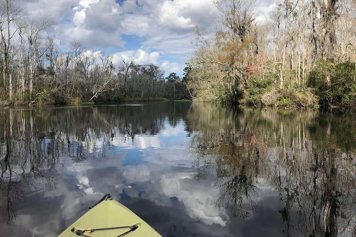 Guided Kayak Eco Tour: Real Florida Adventure