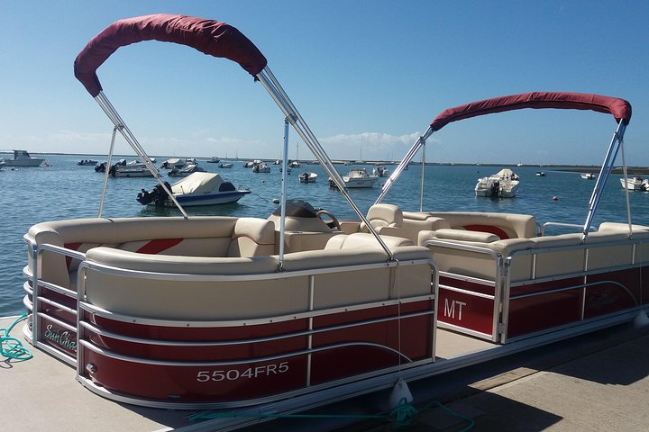 Ria Formosa Natural Park and Islands Boat Cruise from Faro