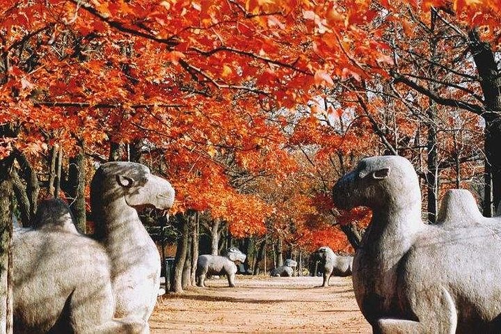 Half-Day Private Customized Nanjing City Tour
