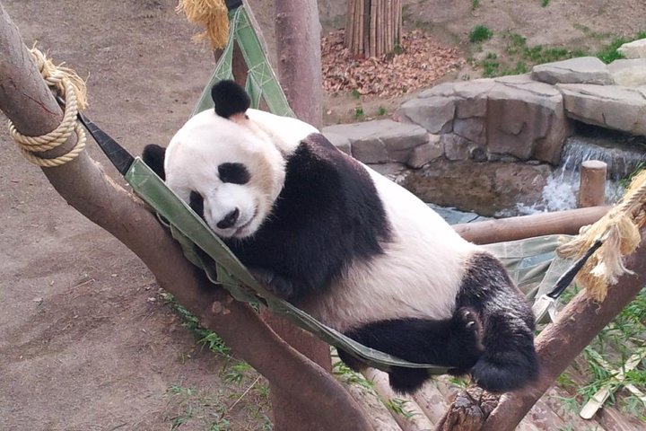 EVERLAND "From Hotel to Hotel" [Premium Private Tour: Only One Group for You]