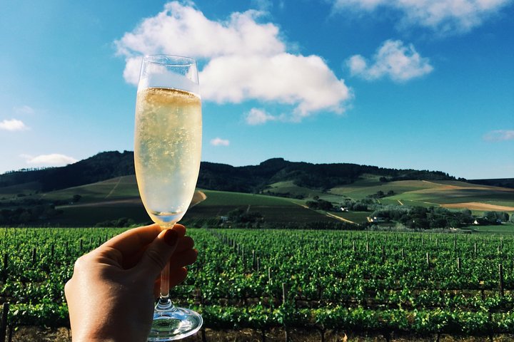 Champagne Cellar tour and tasting