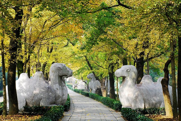 Flexible Private Nanjing City Highlights Day Tour