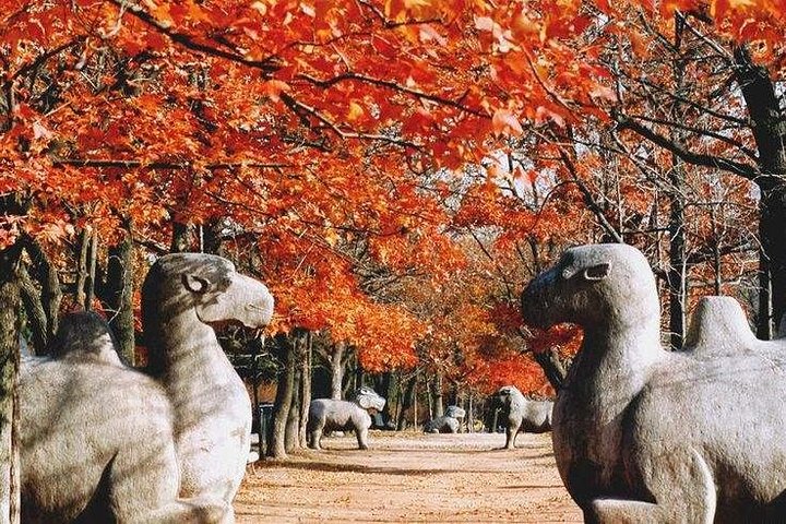 Flexible Private Nanjing City Highlights Day Tour