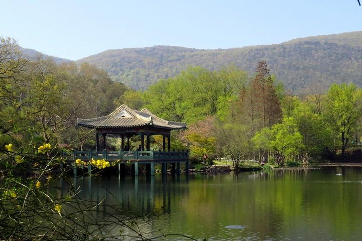 Half-Day Private Customized Nanjing City Tour