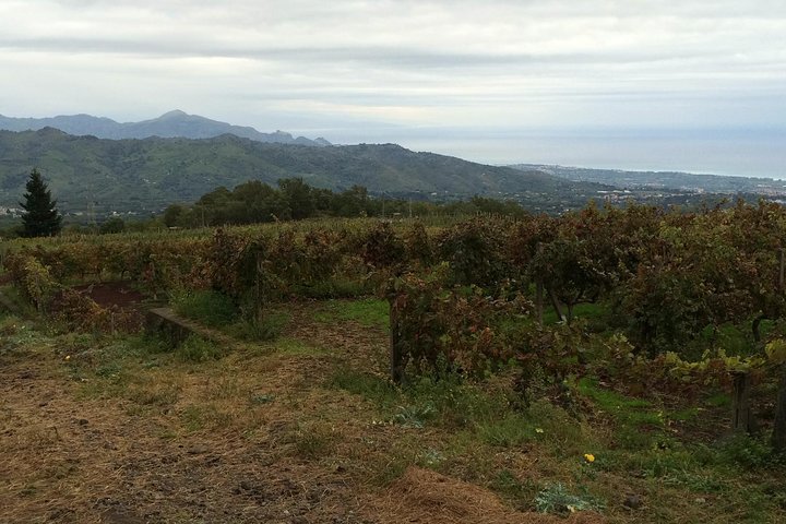 Etna Tour and Lunch in a Winery with Wine Tasting