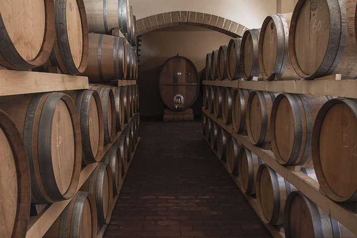 Etna Tour and Lunch in a Winery with Wine Tasting
