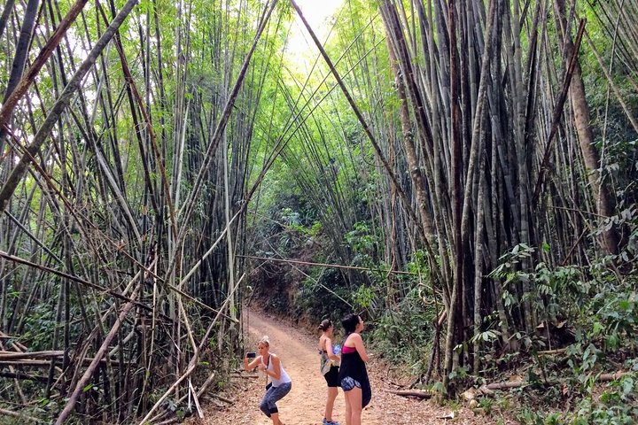 2-Day Khao Sok Jungle Safari from Krabi