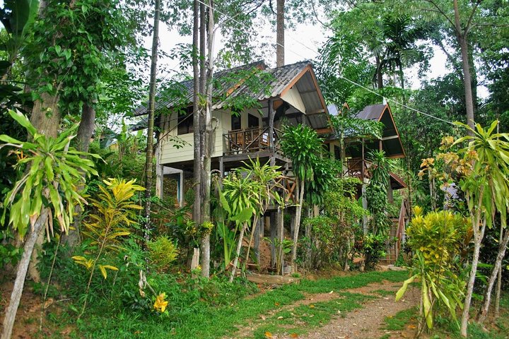 1 Day Khao Sok Jungle Safari and 2 Days Cheow Lan Lake Explorer from Krabi